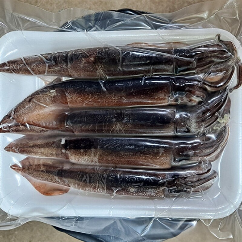 강원특산물,당일바리 속초생물오징어 10미(5미 x 2팩) 2kg